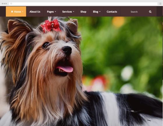 Machen Sie meine Website Groomer Haustiere